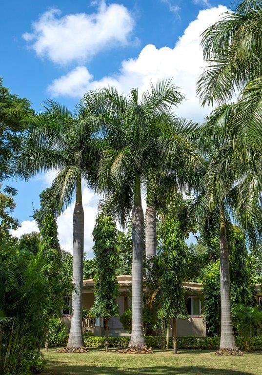 Tiger'S Den Resort Bandhavgarh National Park Bagian luar foto