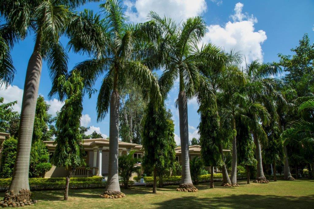 Tiger'S Den Resort Bandhavgarh National Park Bagian luar foto